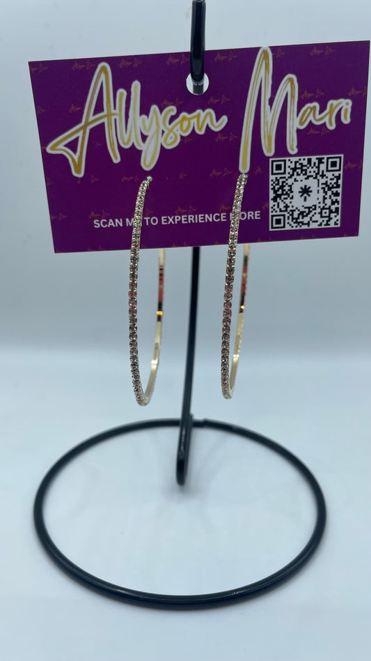 Hoop Dreams Earrings