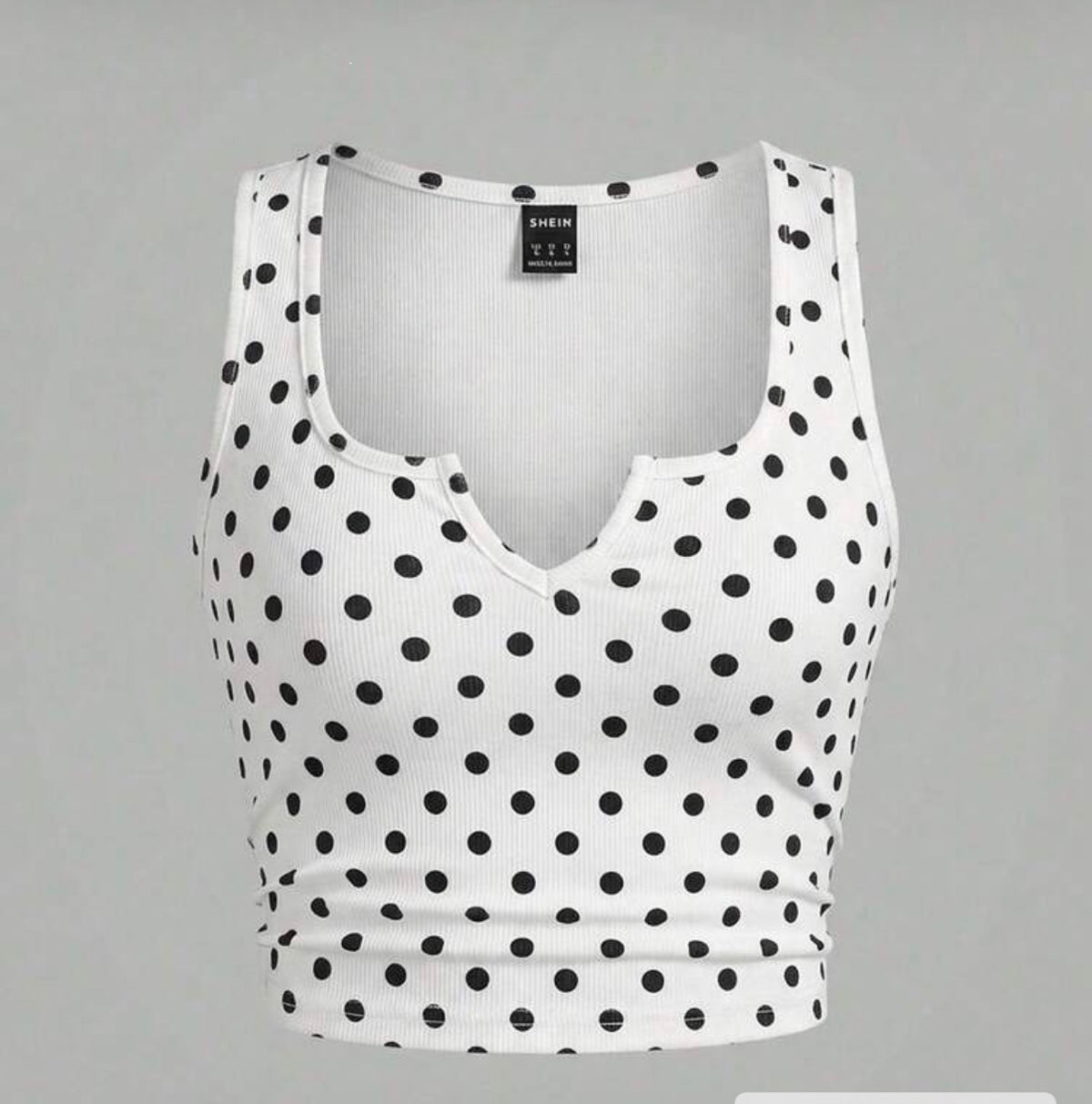 Dot on the Agenda Tank